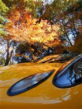 ロータスと紅葉 ロータスと紅葉