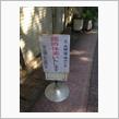 ボクのおにいちゃんは、たまにチューリップみたいになります(笑)…