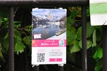 奥会津と奥只見の紅葉④ JR只見線 (2019 .10) 奥会津と奥只見の紅葉④ JR只見線 (2019 .10)
