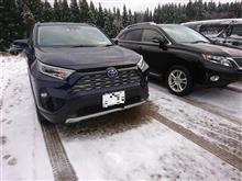 父親が黙って新型RAV4を買ってしまった件  :(；ﾞﾟ&#39;ωﾟ&#39;):