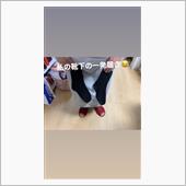 靴下一発履き🤩