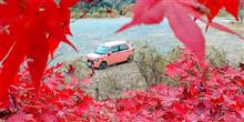 TOCOT in 紅葉 🍁🍂