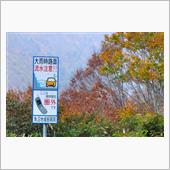 奥会津と奥只見の紅葉⑦　国道 ...