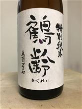 ワニドリ先生
