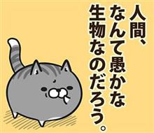 (＃＾ω＾)ﾋﾟｷﾋﾟｷ