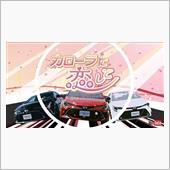 何この豪華声優陣はｗ