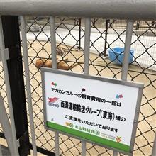 夏至よりも冬至の方が好きなボクです(笑)…