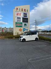 ばたばたしながら。。
