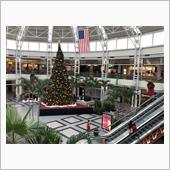  Holiday season