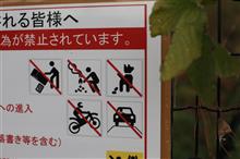 蹴散らすハズが寄ってきた(◎_◎;)💦　