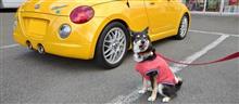 ヌケの良さそうなマフラーですね!!