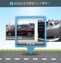 2019年10月~12月のハイドラ 2019年10月~12月のハイドラ