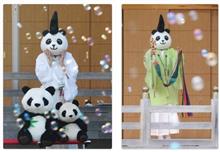 我が家のパンダ&#39;sが、何時の間にか有鹿神社公式にデビュー