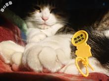 サンバのメンテ・その他予定