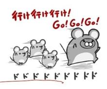 2019総括！(｀･ω･&#180;)
