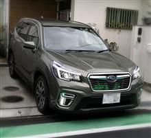 2019年締めくくり