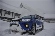 新年のご挨拶