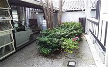 元日は実家へ！