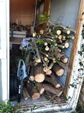 伊豆で芝刈り