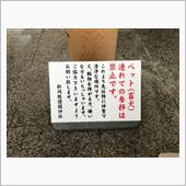 もう行けないなぁ