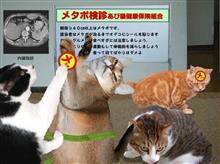 新年あけましておめでとう!! 新年あけましておめでとう!!