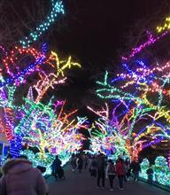 よみうりランド ジュエルミネーション 行ってしました🎡🌃 よみうりランド ジュエルミネーション 行ってしました🎡🌃