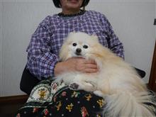 まるちゃんハートになる まるちゃんハートになる