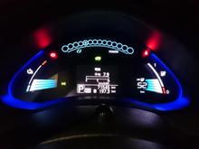 リーフ11ヶ月