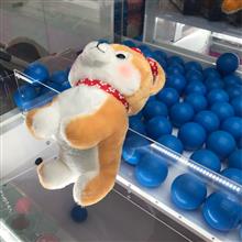 今年は粘り強く頑張ります！