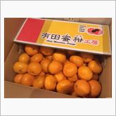 有田産小玉みかん