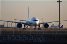 年が変わっても空は変わらない