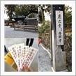 2020初詣🎍🎌の記録〜海外観光客で溢れる金閣寺✨
