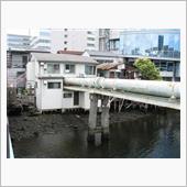 今日、カーゴの前を走ってたカ ...