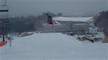 Wandering skier in WHITEPIA