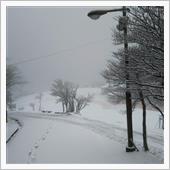 雪景色