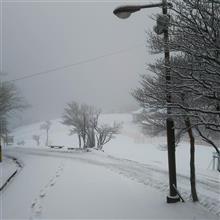 雪景色