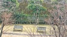 今日は雪が降って寒かった(&gt;_&lt;)