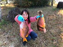 四国磯釣り