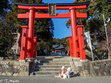 今年も家内安全のご祈祷に行ってきました