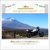 11周年だそうです
