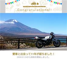 11周年だそうです