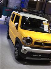是非見せてください!?新型ハスラー!! 是非見せてください!?新型ハスラー!!