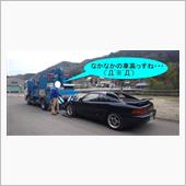 牧場の風物詩か？　m9(^Д ...