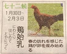 暖冬で冬眠しない！？「クマ出没」相次ぐ