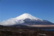 朝霧高原経由で静岡入り・・小鳥編