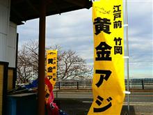黄金アジを求めて。