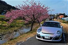 河津桜とポルシェ達　～　Ｍｙ Ｍｅｍｏｒｉｅｓ
