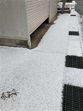 雪が積もりました…