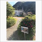 免許証更新のついでに、、、