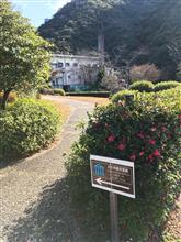 免許証更新のついでに、、、